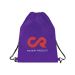 Basic Drawstring Backpack